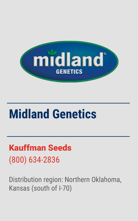 Kauffman Seeds